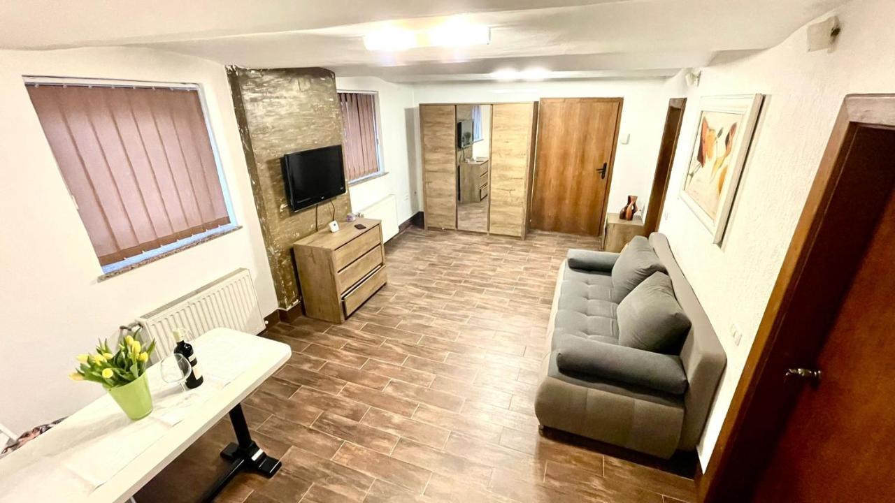 Ultracentral Apartment Arad Bagian luar foto